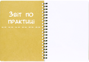 Звіт по практиці