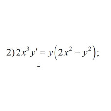 2. 2x3y' = y(2x² - y²) (14 Варіант)